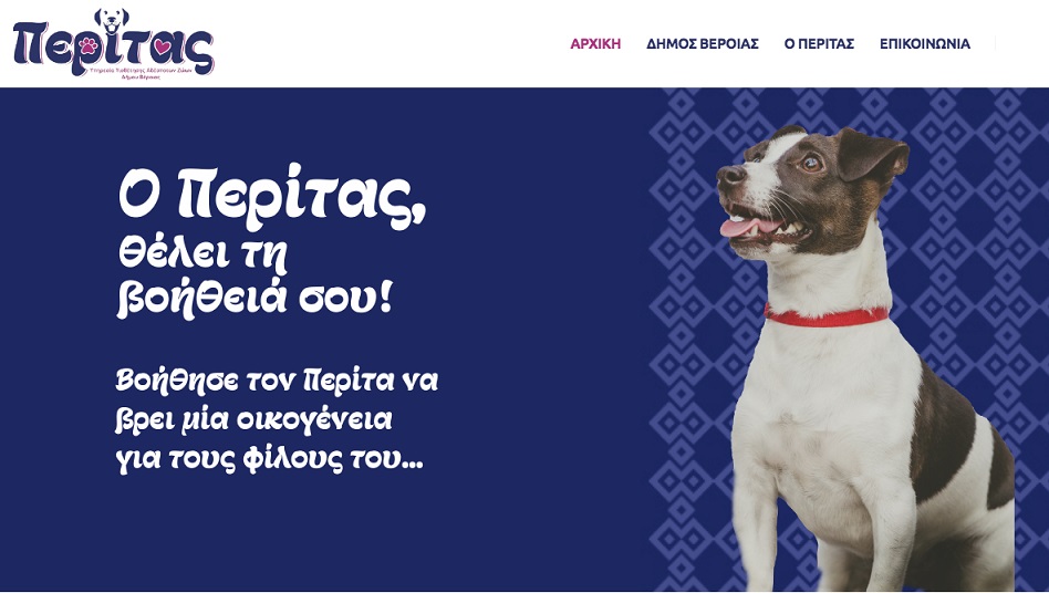 Περίτας»: Η νέα ιστοσελίδα του Δήμου Βέροιας για την υιοθεσία αδέσποτων σκύλων | ΚΕΔΕ